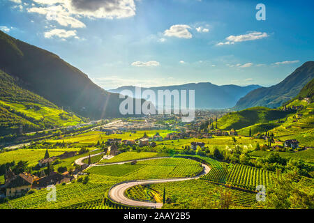 Vignes voir à Santa Maddalena Bolzano Droopweg 21. Trentin-haut-Adige Sud Tyrol, l'Italie, l'Europe. Banque D'Images