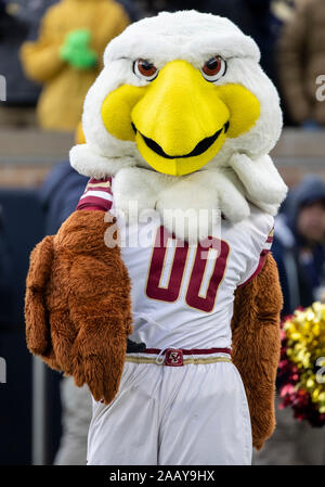 South Bend, Indiana, USA. 23 Nov, 2019. Boston College mascot effectue au cours de NCAA football action de jeu entre le Boston College Eagles et la Notre Dame Fighting Irish de Notre Dame Stadium à South Bend, Indiana. Notre Dame a défait l'Université de Boston 40-7. John Mersits/CSM/Alamy Live News Banque D'Images