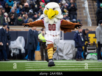 South Bend, Indiana, USA. 23 Nov, 2019. Boston College mascot effectue au cours de NCAA football action de jeu entre le Boston College Eagles et la Notre Dame Fighting Irish de Notre Dame Stadium à South Bend, Indiana. Notre Dame a défait l'Université de Boston 40-7. John Mersits/CSM/Alamy Live News Banque D'Images