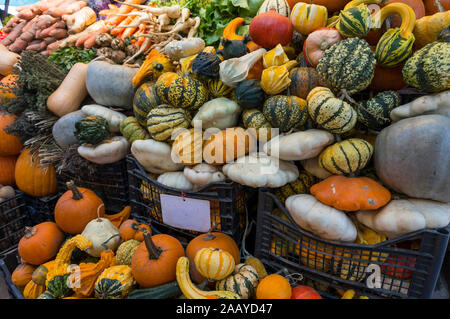 Automne Couleur Pumpkins im Whole Foods Market. Inspiré de l'automne les palettes de couleur. Marché aux légumes d'automne : des courges et citrouilles Banque D'Images