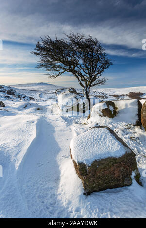 Les fortes chutes de neige en selle Tor à Dartmoor Banque D'Images