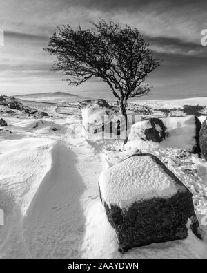 Les fortes chutes de neige en selle Tor à Dartmoor Banque D'Images