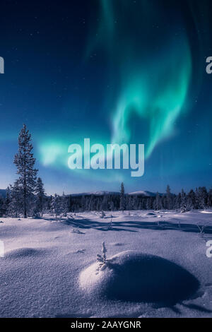 Mousseux de neige dans une épopée de la lune et une aurore boréale aka northern lights sur le ciel avec Pallas fells sur l'arrière-plan dans Pallas-Yllästunturi n Banque D'Images