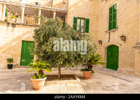 Belles fenêtres et portes dans la rue de l'ancienne ville de Mdina, Malte Banque D'Images