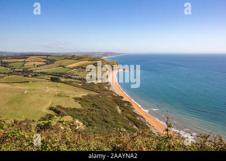 Vaste vue sur la mer de la Manche à partir du haut de la colline d'or dans l'ouest de Dorset, Angleterre, avec vue sur l'arrière-plan de grès Bridport c Banque D'Images