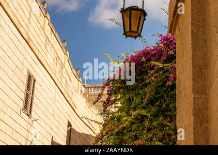 Belles fenêtres et portes dans la rue de l'ancienne ville de Mdina, Malte Banque D'Images