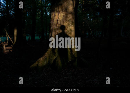 Un concept de droit aux utilisations multiples d'un homme pleine longueur ombre sur l'arbre de chêne provoquant la peur ou mystère dans une forêt. Banque D'Images