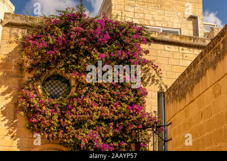 Belles fenêtres et portes dans la rue de l'ancienne ville de Mdina, Malte Banque D'Images