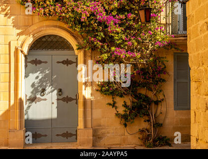 Belles fenêtres et portes dans la rue de l'ancienne ville de Mdina, Malte Banque D'Images