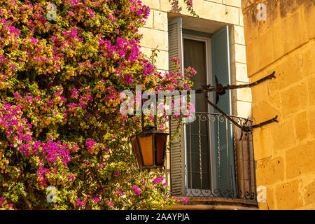 Belles fenêtres et portes dans la rue de l'ancienne ville de Mdina, Malte Banque D'Images