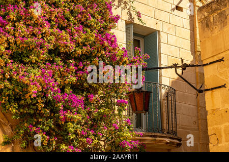 Belles fenêtres et portes dans la rue de l'ancienne ville de Mdina, Malte Banque D'Images