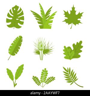 Les plantes, feuilles, branches, buissons et pots set télévision vector illustration Illustration de Vecteur