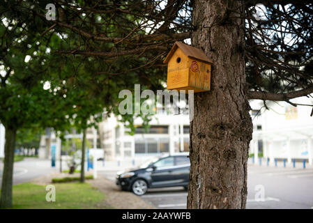 Inner city bird box scheme nichoirs d'oiseaux des endroits dans le centre-ville de Southampton, Angleterre centre commercial de West Quay. Banque D'Images