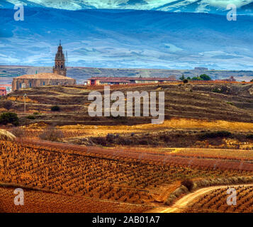 La Rioja vignoble en automne. Espagne Banque D'Images