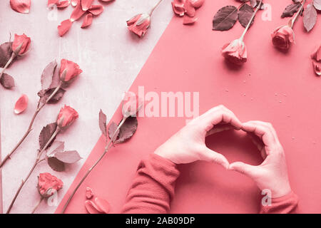 Belle rose tendance géométrique monochrome avec mise à plat couleur corail roses. Femmes en molleton rouge moelleux montrant forme de coeur inscription plus. Valent Banque D'Images