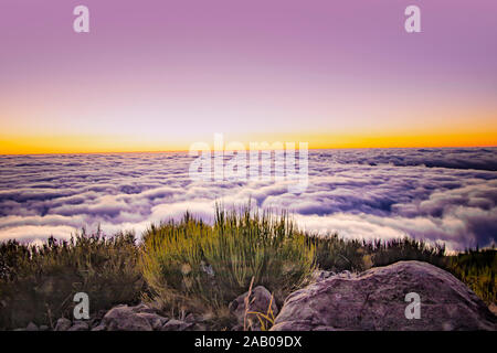 Nature fond avec le lever du soleil sur les nuages. C'est sur le haut de la montagne Pico do Arieiro, l'île de Madère, au Portugal. Le soleil levant a une couleur d'or. Banque D'Images