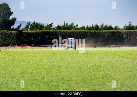 Annat, Canterbury, Nouvelle-Zélande, le 24 novembre 2019 : Un agriculteur pulvérise sa récolte dans un champ au printemps Banque D'Images