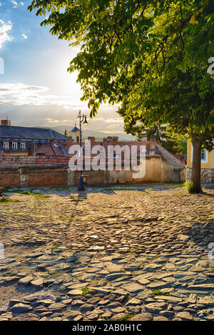 Place pavée pavée ensoleillée à Szentendre, Hongrie Banque D'Images