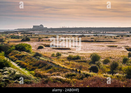 L'automne à Dunwich, Suffolk, UK. La recherche à travers la réserve naturelle Minsmere vers la centrale nucléaire de Sizewell. Banque D'Images