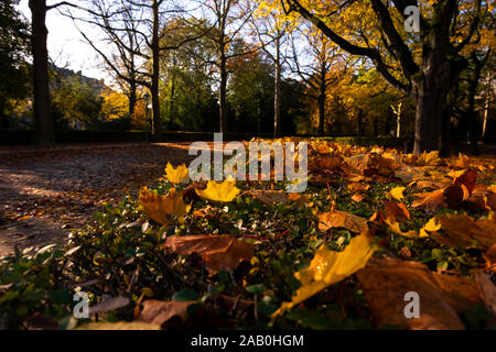 Paysage d'automne classique dans la région de Jubilee Park ou Parc du Cinquantenaire, à Bruxelles sur un matin ensoleillé avec des feuilles d'or sur le terrain. Banque D'Images