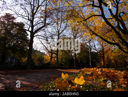 Paysage d'automne classique dans la région de Jubilee Park ou Parc du Cinquantenaire, à Bruxelles sur un matin ensoleillé avec des feuilles d'or sur le terrain. Banque D'Images