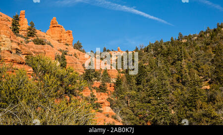 À près de 10 000 pieds d'altitude, la roche rouge du sud de l'Utah est overgron par le cèdre et le genévrier. Près de Byrce Canyon National Park. Banque D'Images