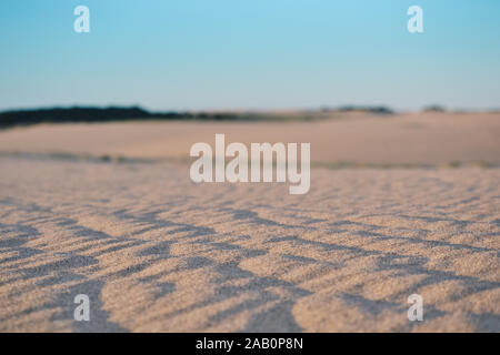 Proche de sable sur un jour venteux avec quelques arbres en arrière-plan Banque D'Images