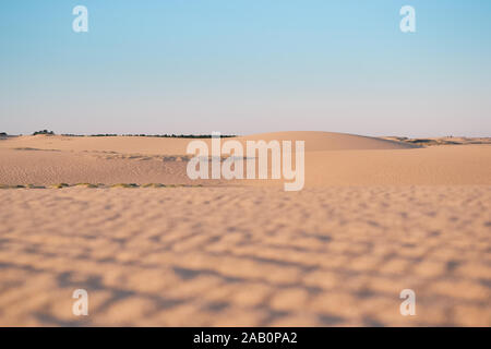 Proche de sable sur un jour venteux avec quelques arbres en arrière-plan Banque D'Images