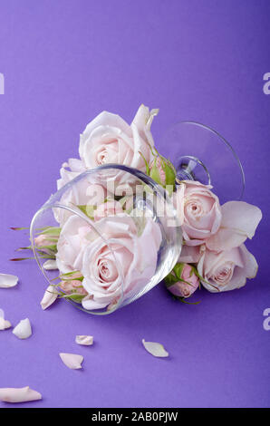 Belle lilas pastel roses dans un verre de vin vide sur fond violet. Fond romantique floristique. Banque D'Images