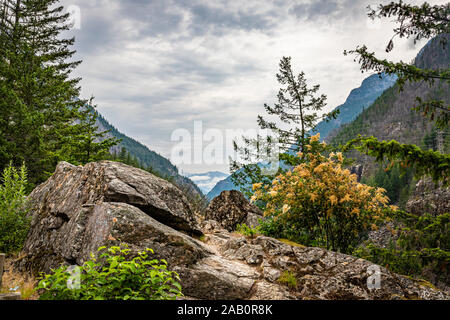 North Cascades National Park est une région éloignée, sauvage et dans la chaîne de montagnes du nord des Cascades du nord de l'état de Washington. Banque D'Images