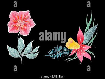 Ensemble de deux couleurs d'été de fleurs tropicales. Fleur botanique floral set isolé sur fond noir. Hand drawn vector collection. Hawaii botanique Illustration de Vecteur