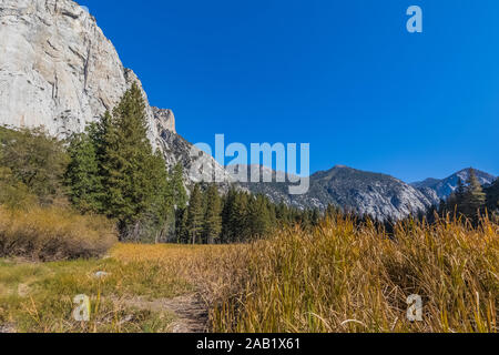 Et une partie de prairie Zumwalt North Dome dans le Cedar Grove, le long de la Rivière des Rois au Kings Canyon National Park, California, USA Banque D'Images