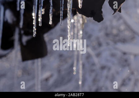 Icicle devant fond bleu. La liste déroulante de la fonte de glaçons suspendus par un beau jour de printemps. Icicle et drop close-up. Banque D'Images