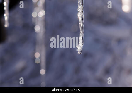 Icicle devant fond bleu. La liste déroulante de la fonte de glaçons suspendus par un beau jour de printemps. Icicle et drop close-up. Banque D'Images