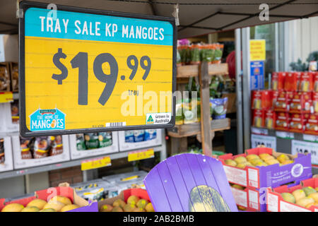 Supermarché Harris Farm et plateaux de mangues de fruits frais en vente à Sydney, Nouvelle-Galles du Sud, Australie Banque D'Images