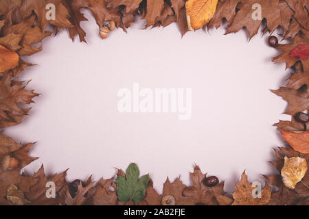 Toile d'automne - cadre composé de brun automne feuilles sèches plus de couleur beige Banque D'Images