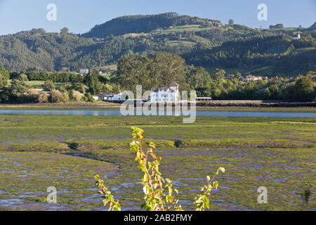 L'estuaire de Villaviciosa est un estuaire naturel situé dans la Principauté des Asturies, plus précisément dans la municipalité de Villaviciosa. Il s'écoule dans Banque D'Images