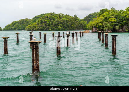 Parc national Los Haitises surnommée la baie d'Halong des Caraïbes.Les mangroves,une riche forêt tropicale, des oiseaux tropicaux multicolores et les lamantins. La côte Banque D'Images