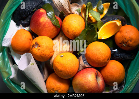 Les aliments gâtés dans la poubelle. L'embarras des oranges et des pommes de près. Les questions écologiques. Les déchets. Le problème des déchets de nourriture, les restes jetés dans la corbeille en Banque D'Images