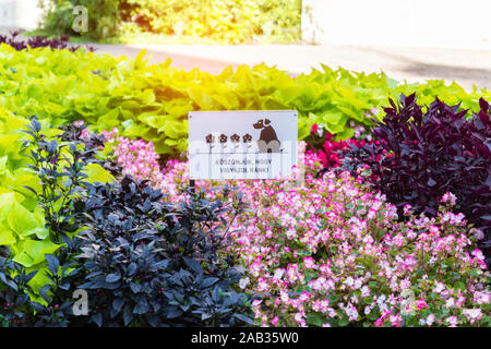 Un signe avec un motif interdisant la promenade de chiens sur une pelouse verte ou sur un lit de fleur Banque D'Images