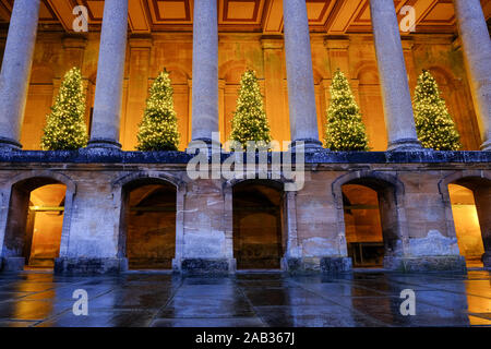 Les arbres de Noël à Blenheim Palace Banque D'Images