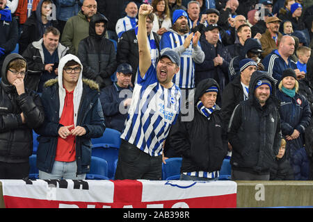 23 novembre 2019, American Express Community Stadium, Brighton et Hove, Angleterre, Premier League, Brighton et Hove Albion v Leicester City:Brighton Fans Crédit : Phil Westlake/News Images Banque D'Images