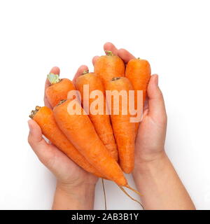 Woman holding fresh et nettoyer les carottes en mains over white Banque D'Images