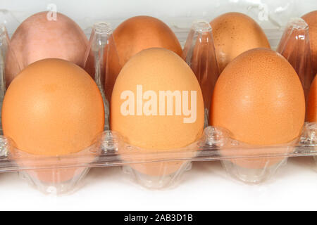 Les oeufs de poule dans un contenant de plastique isolated on white Banque D'Images