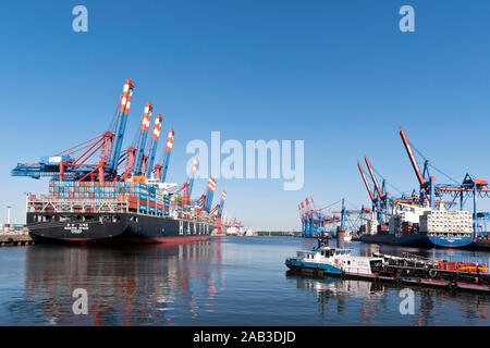 Containerschiffe suis Containerterminal Burchardkai im Hamburger Hafen |Porte-conteneurs au port de Hambourg container terminal Burchardkai| Banque D'Images