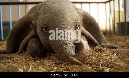 DUMBO (2019), réalisé par Tim Burton. Crédit : TIM BURTON PRODUCTIONS/WALT DISNEY PICTURES / Album Banque D'Images
