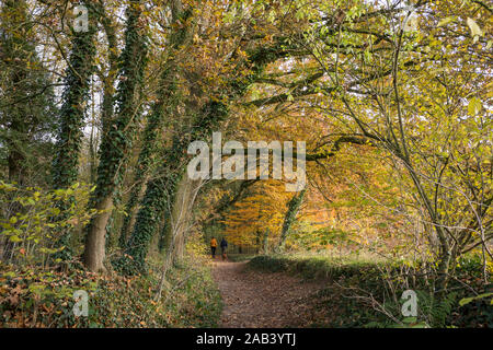 Couple walking une forêt d'automne avec des arbres à 'réserve naturelle Leudal' Banque D'Images