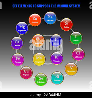 Définir les éléments et vitamines pour soutenir le système immunitaire. Illustration avec fond blanc isolé. Magnésium, zinc, sodium, soufre, calcium, chrome, Banque D'Images