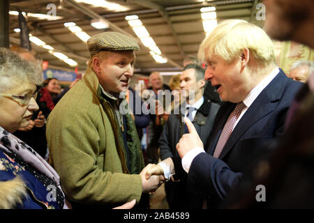 Royal Welsh Winter Fair, Builth Wells, Powys, Wales, UK - Lundi 25 novembre 2019 - Le Premier ministre Boris Johnson tours le Royal Welsh Winter Fair sur la dernière étape de sa tournée électorale britannique de l'agriculture et de la réunion de la communauté rurale au milieu du Pays de Galles. Crédit : Steven Mai/Alamy Live News Banque D'Images