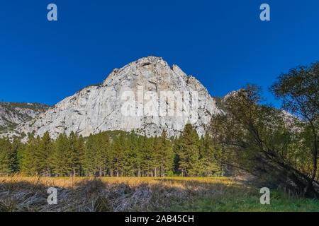 Meadow Zumwalt Boucle avec vue sur le dôme du nord dans la région de Cedar Grove Kings Canyon National Park, California, USA Banque D'Images